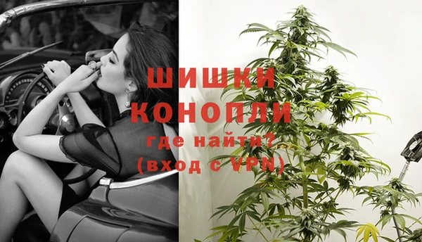 мдпв Верхний Тагил