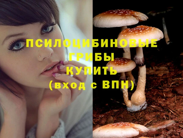 наркотики Волосово