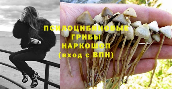 мдпв Верхний Тагил
